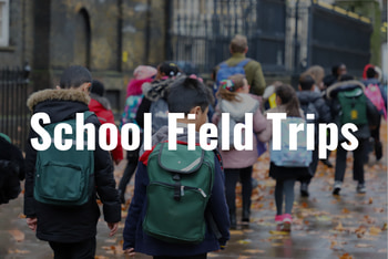 school children wearing backpacks walk along a sidewalk