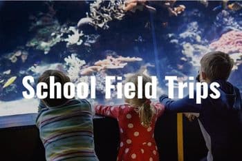 school children at a aquarium