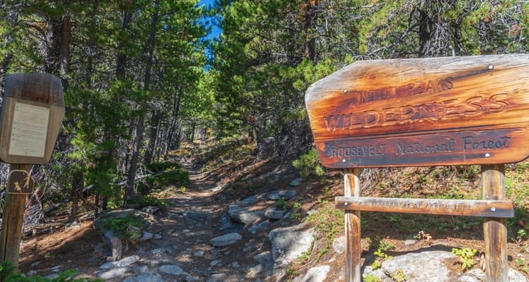 champion charter bus roosevelt national forest indian peaks wilderness denver