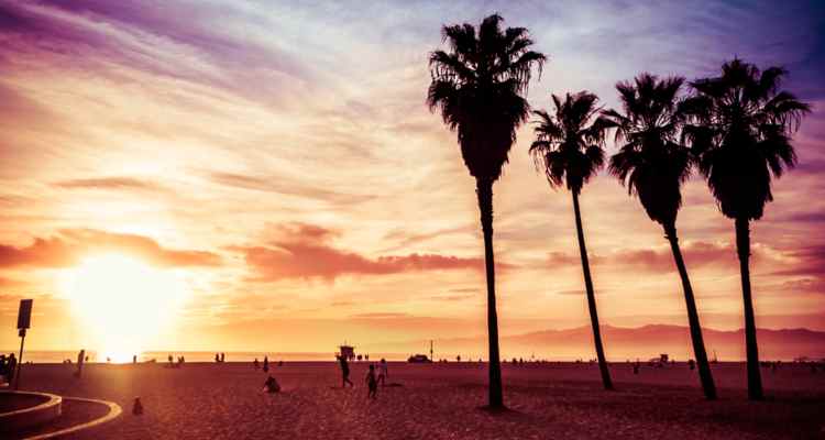 venice beach itinerary